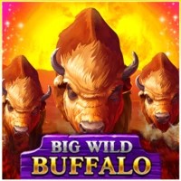Big Wild Buffalo slot logo by Belatra Games at Slotosport CasinoBig Wild Buffalo